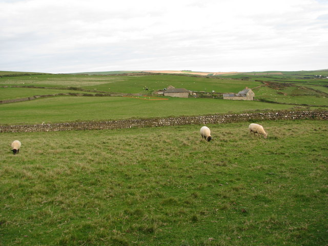 File:Croydehoe Farm on Baggy Point - geograph.org.uk - 2118110.jpg