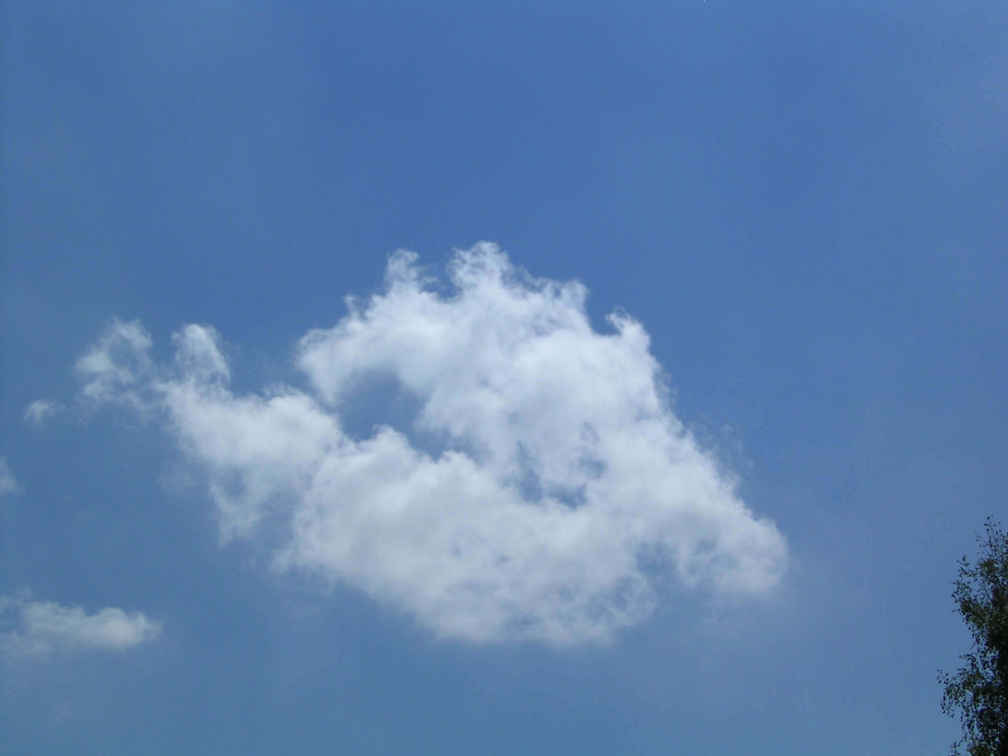 Цепь облаков выложи на сайт. Кучевые плоские – Cumulus humilis (cu hum.. Cumulus congestus. Кучево-дождевые облака. Плоские облака.