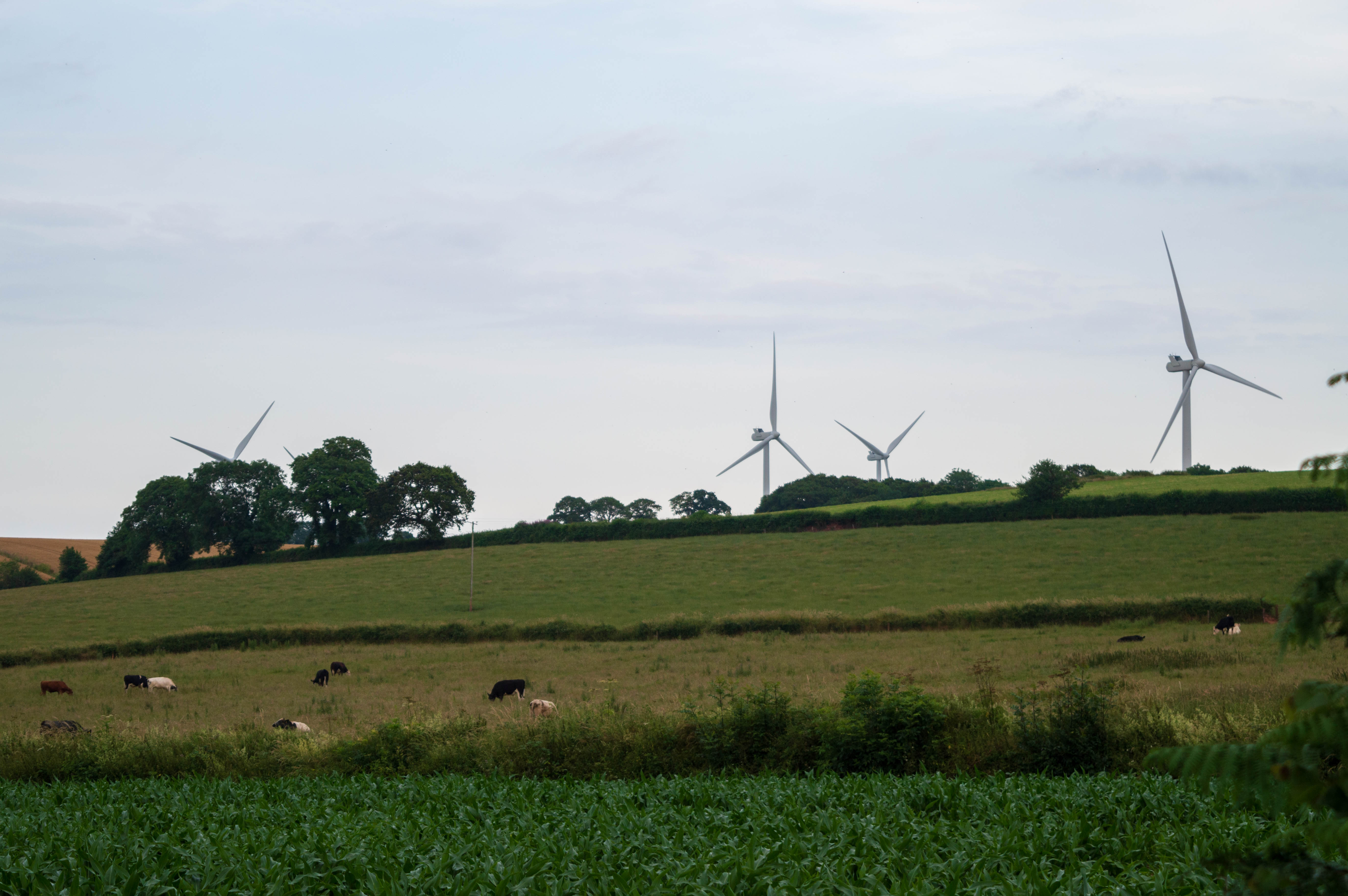 Den Brook Wind Farm