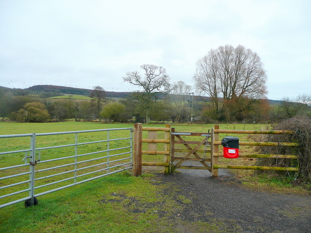 File:Dog-walking area - geograph.org.uk - 1690068.jpg