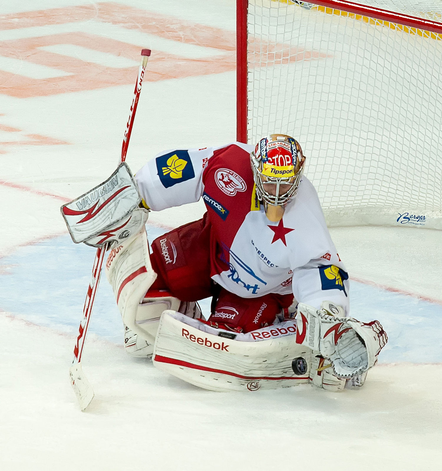 Elite Prospects - HC Slavia Praha