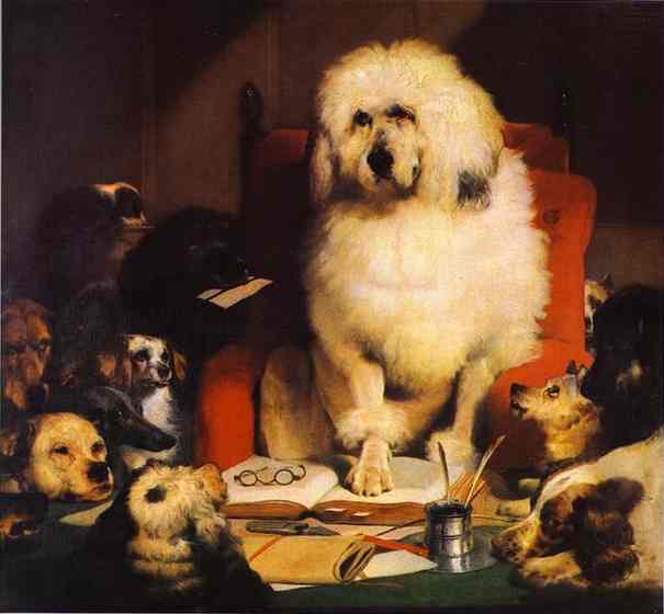 dogs gathered around a large french poodle who steps on a book