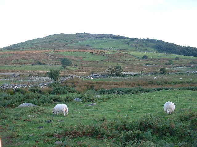 File:Farmland below Craig y Gesail - geograph.org.uk - 46558.jpg