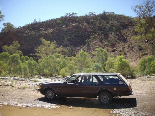 Ford Falcon Ford_Falcon_GL_1982