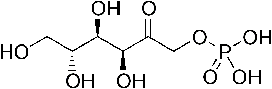 フルクトース 1 リン酸 Wikipedia