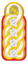 File:GDR Army OF9 Armeegeneral.gif