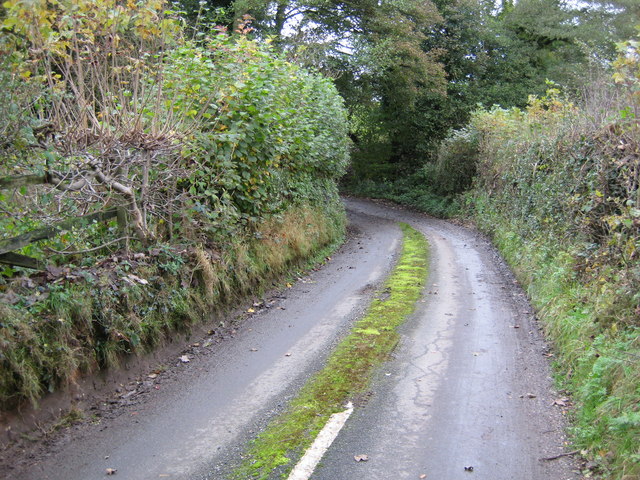 File:Lane at Coton Hayes - geograph.org.uk - 586517.jpg