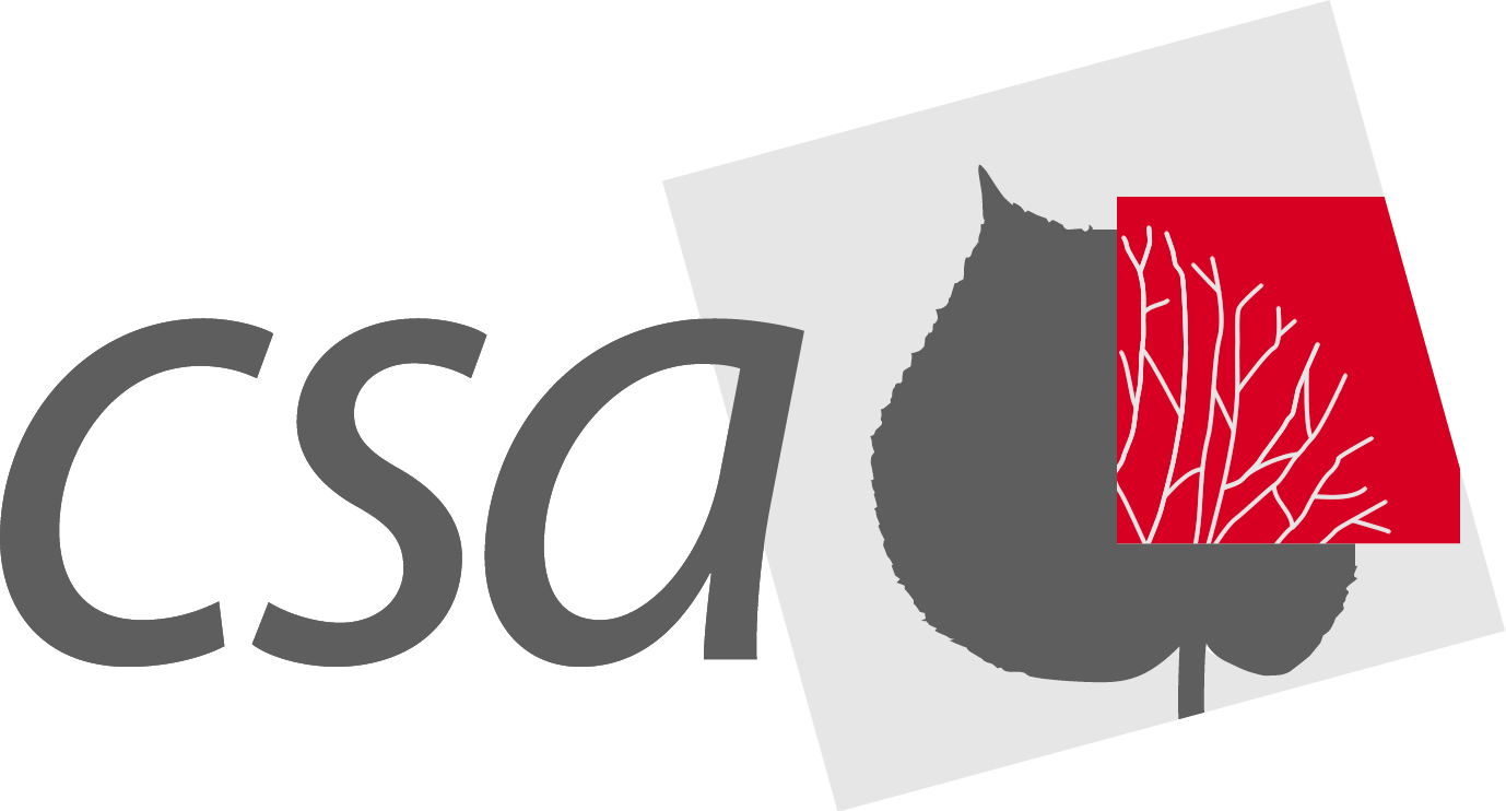 Руб ля. CSA. CSA logo. «Сколково» сертификация лого. S&P CSA logo.