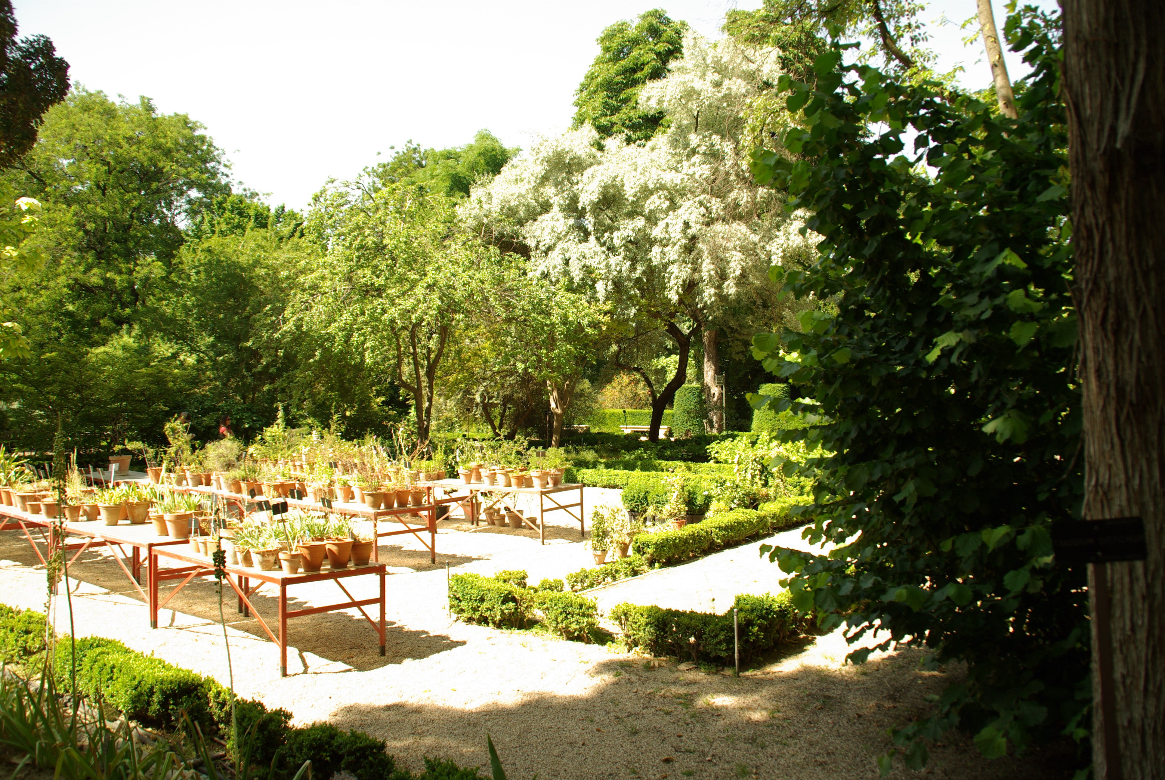 Donde esta el jardin botanico de madrid