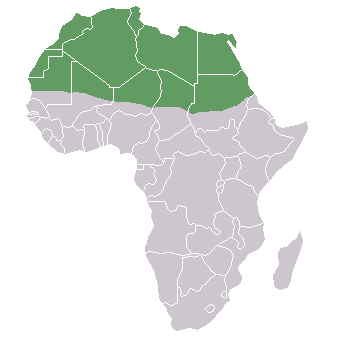 File:Northern Africa.gif