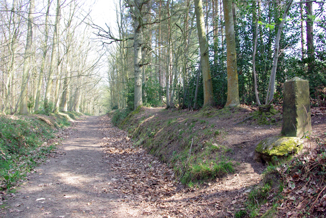 File:Old Coach Road, Ashes Wood - geograph.org.uk - 402850.jpg