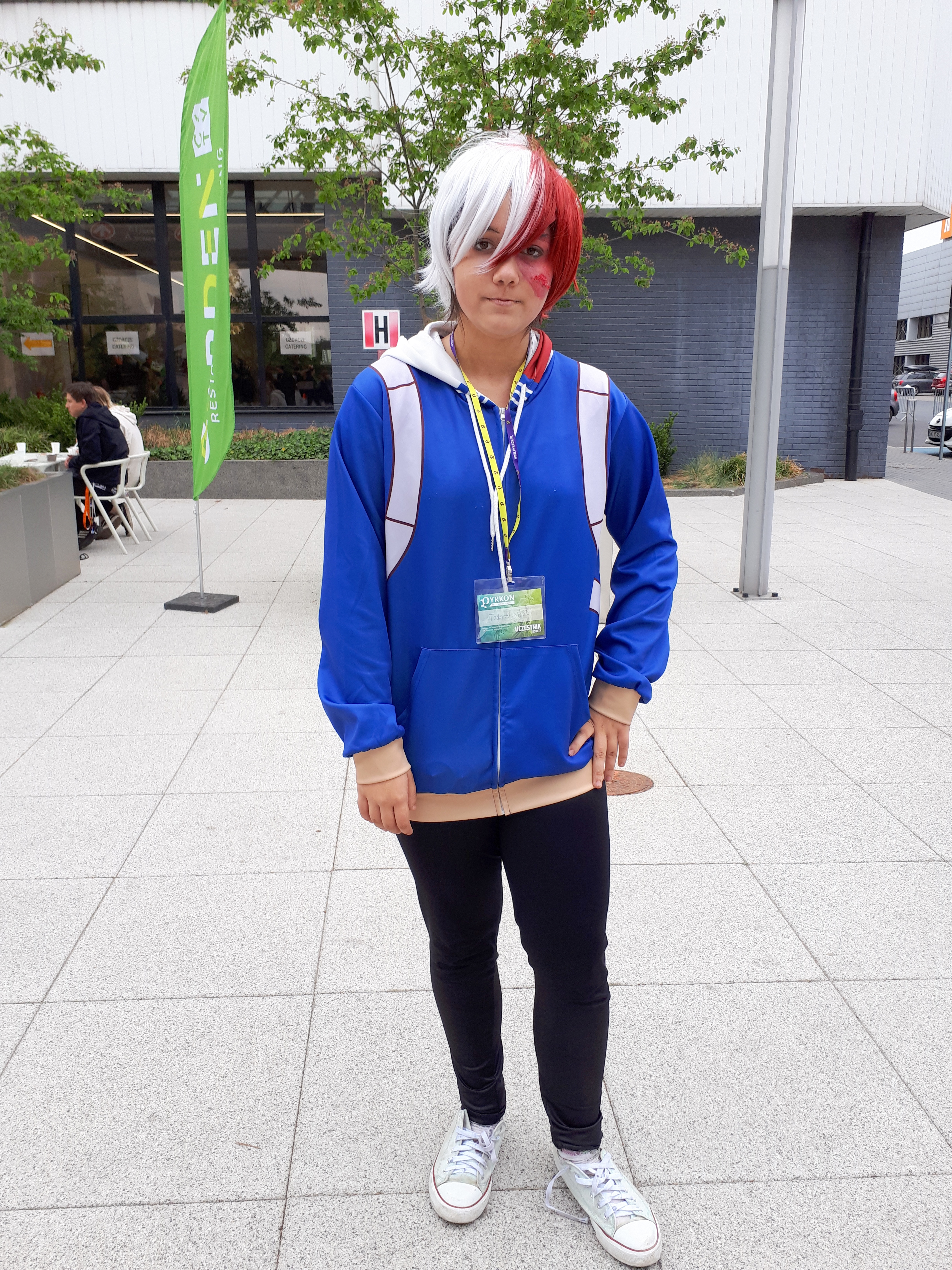 Shoto todoroki