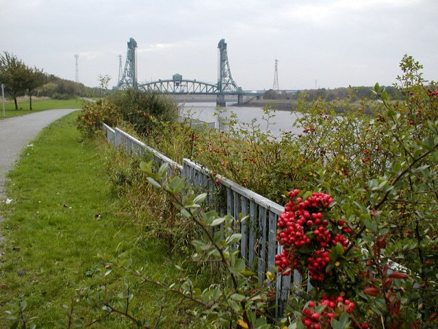 File:Railings on the Banks of the Tees - geograph.org.uk - 586095.jpg