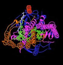 Bacterial photosynthetic reaction center. Reactprotdatbnkt.JPG