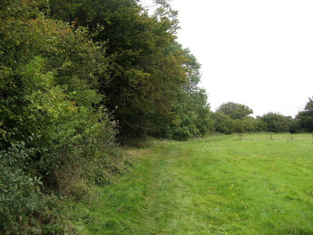 Ridgeway by Langton Wood - geograph.org.uk - 575970