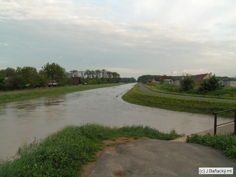 File:Rieka Trnavka pretekajúca cez Trebišov.jpg