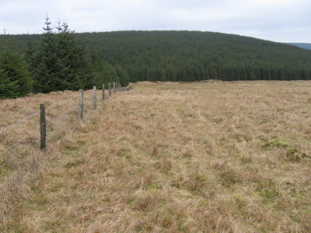 File:Rough Shoulder towards Birk Grain - geograph.org.uk - 393955.jpg