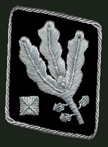 File:SS-Obergruppenführer collar until1942.jpg