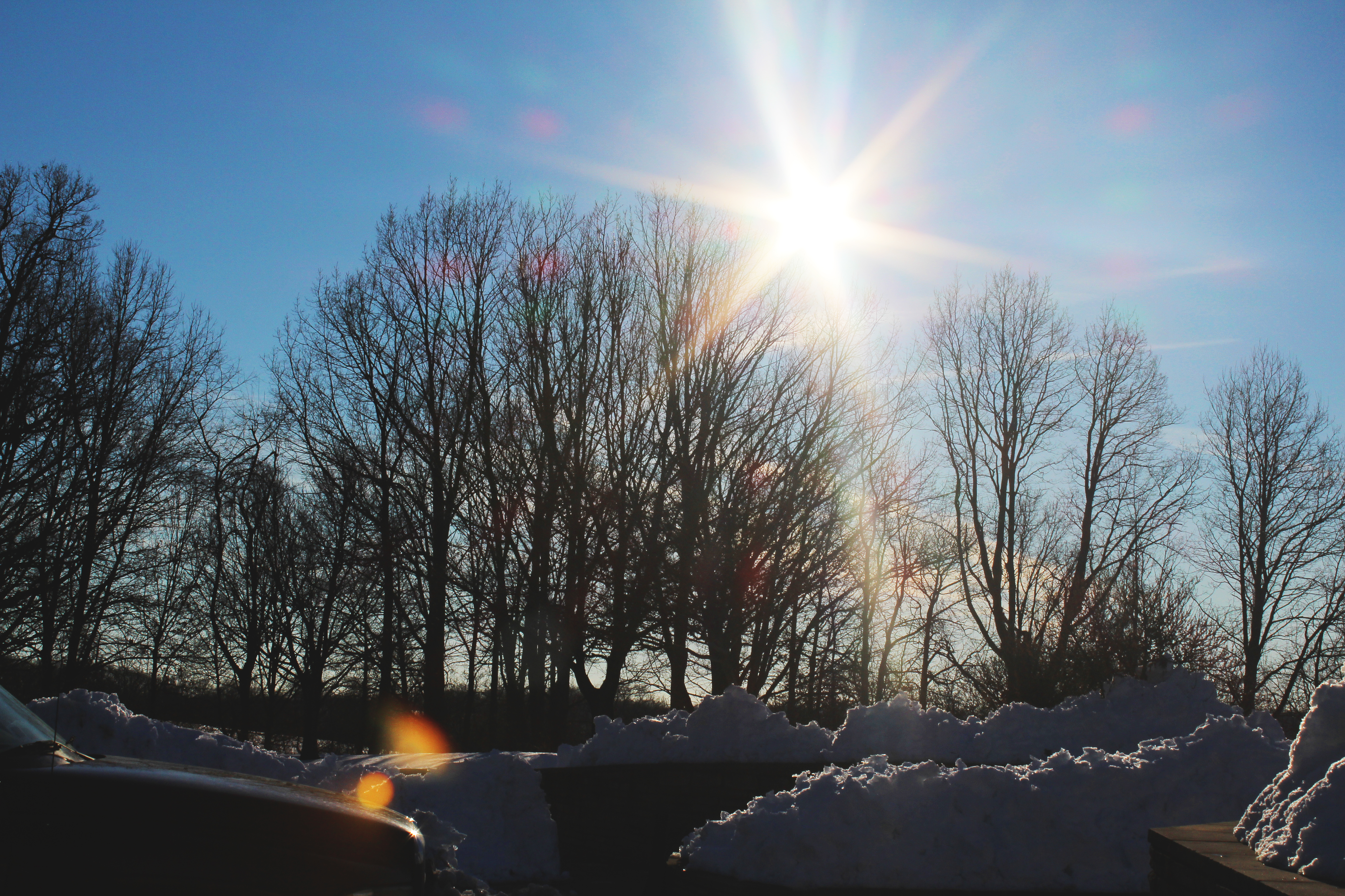 Snowy morning fred