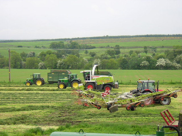 File:Taking in the silage - geograph.org.uk - 72074.jpg