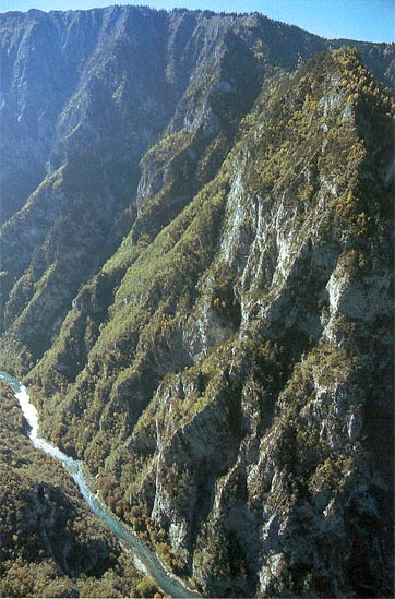 ファイル:Tara River Canyon.jpg