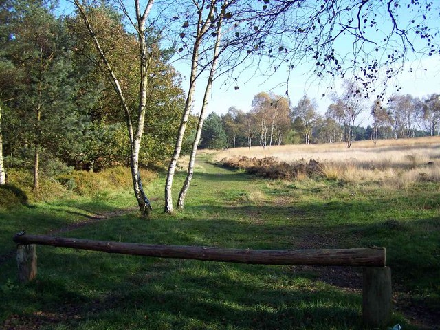 View From CarPark, Brindley Bottom, Cannock Chase - geograph.org.uk - 275331