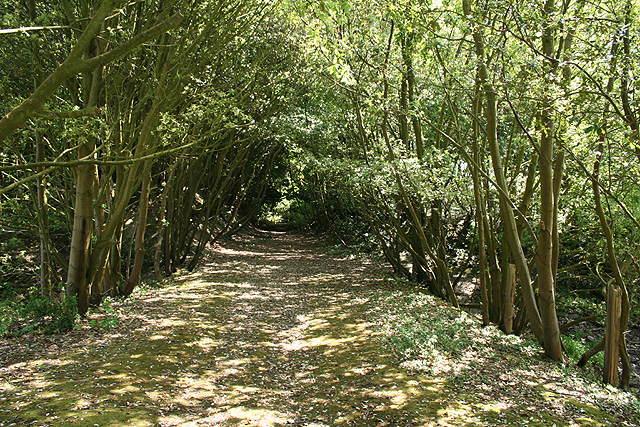 File:Yealmpton, course of railway - geograph.org.uk - 459991.jpg