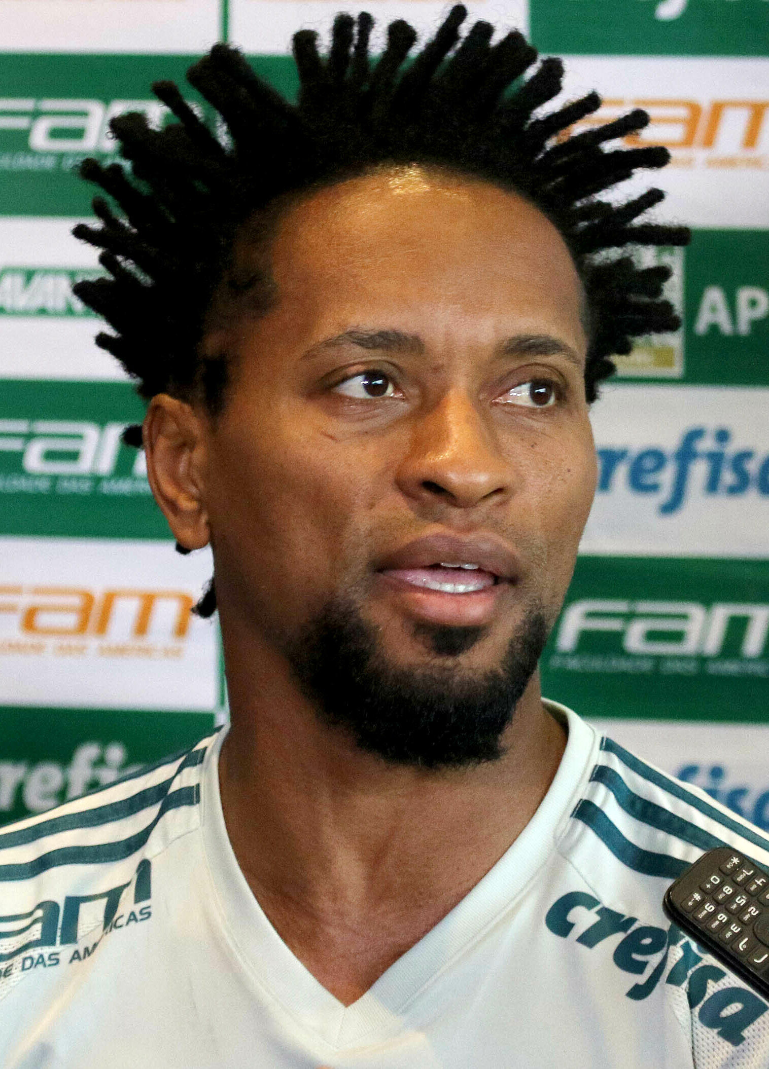 Zé Roberto - Wikipedia