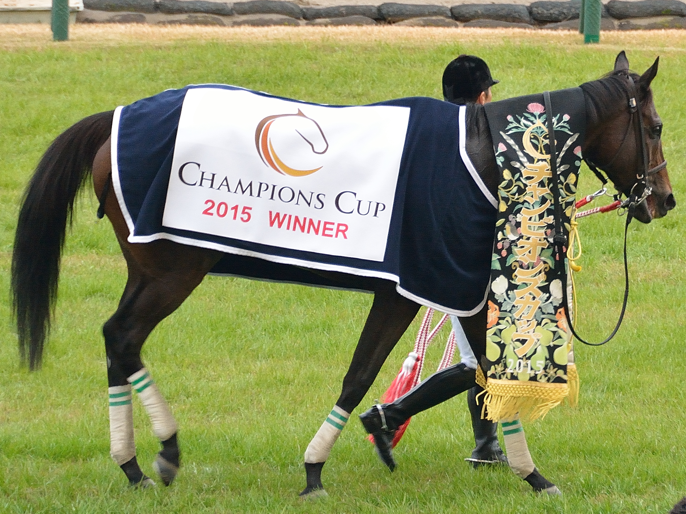 File 第16回チャンピオンズカップの優勝レイと馬着を着装した勝利馬サンビスタ Jpg Wikimedia Commons