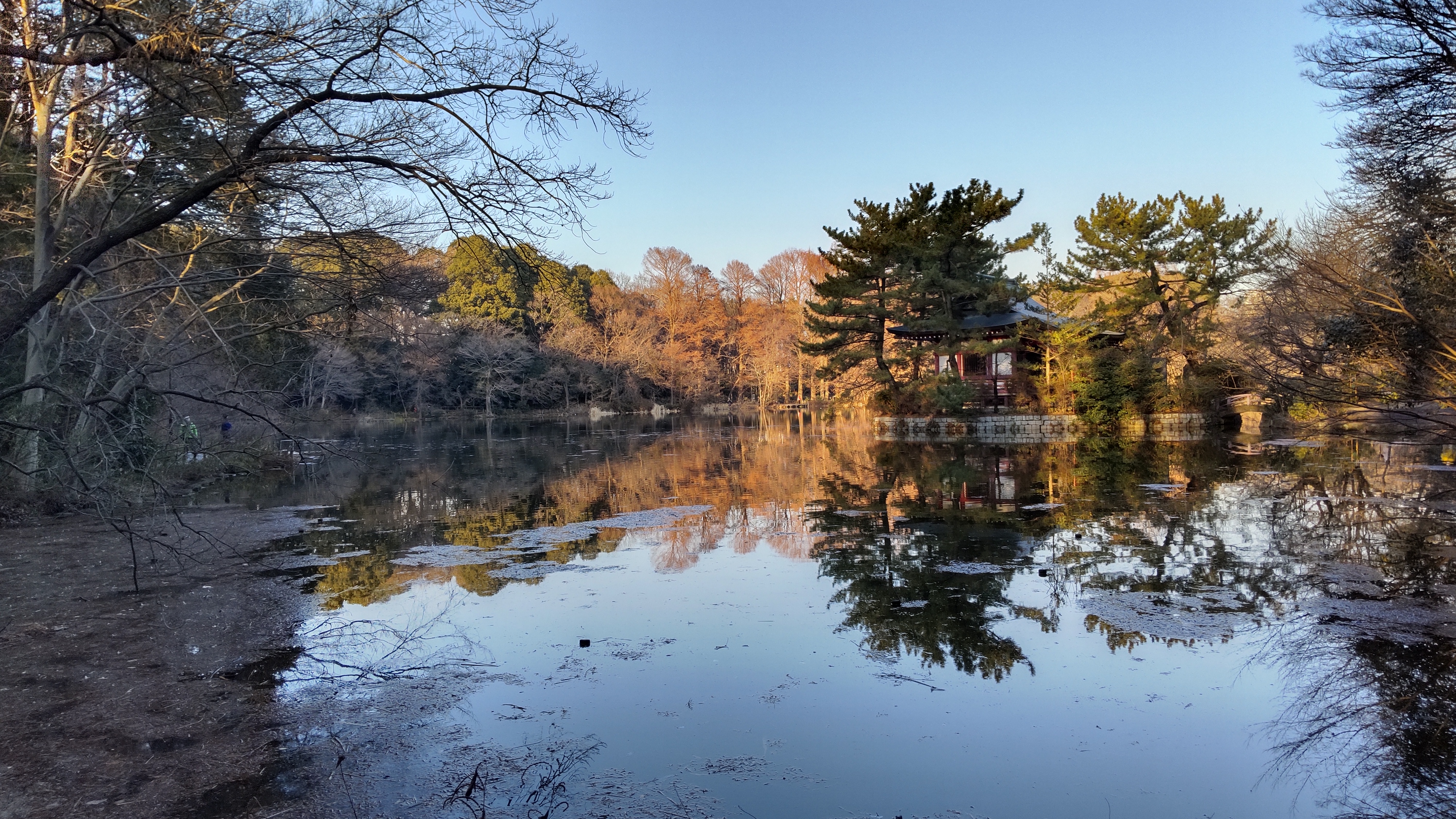 石神井公園 Wikipedia