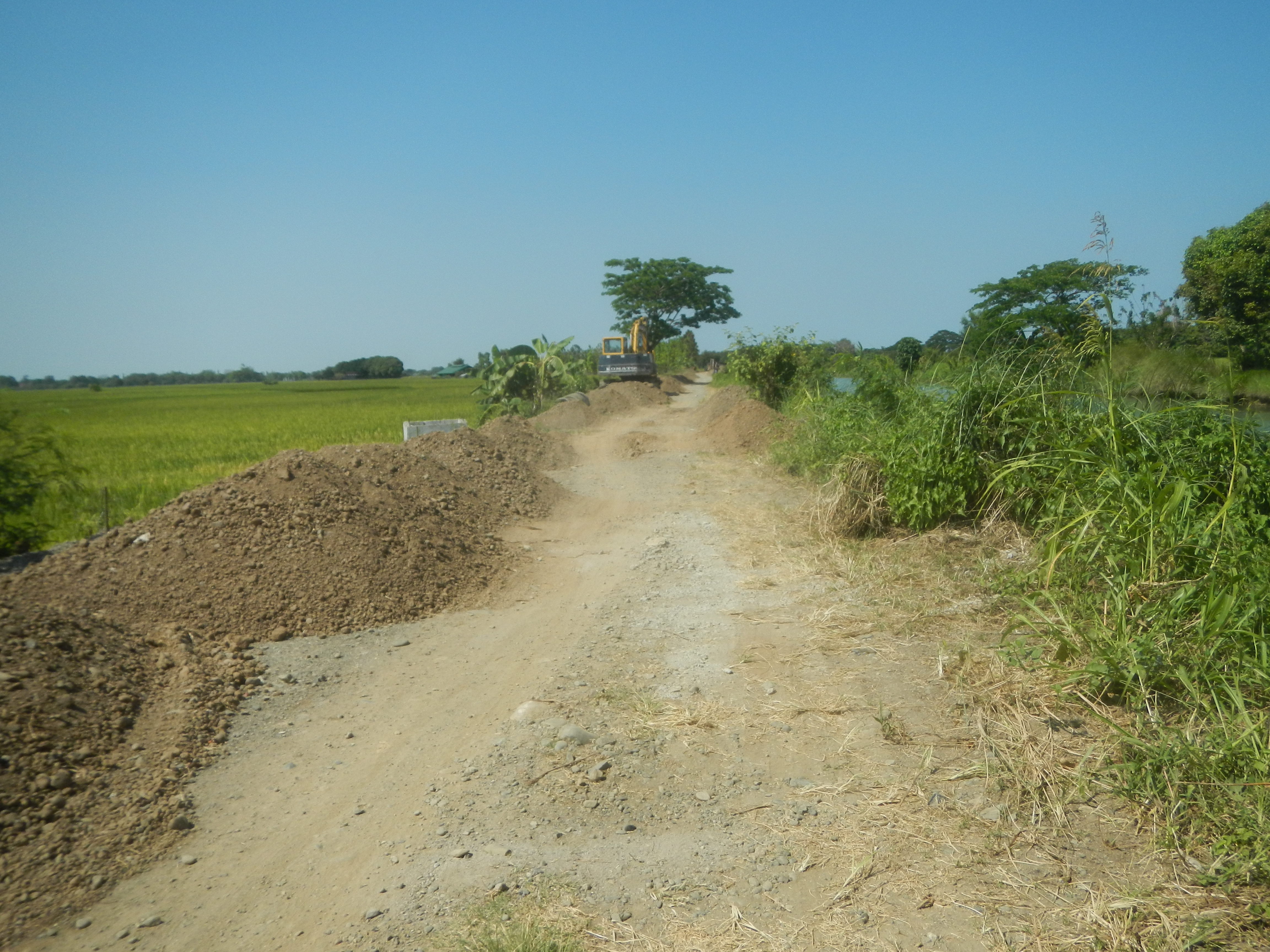 Road 40. Дорога 40 миллионов Бушма. 39 Road.