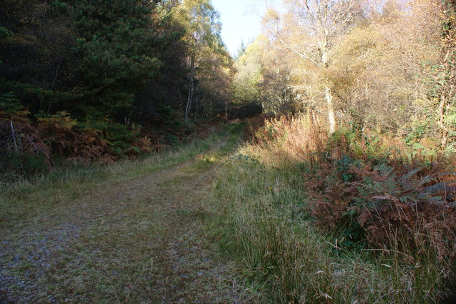 File:A little used track - geograph.org.uk - 1540414.jpg