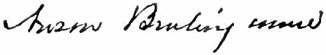 File:Appletons' Burlingame Anson signature.jpg