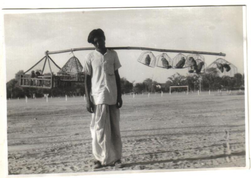 File:Bird seller in Ambala, Haryana in 1945.JPG