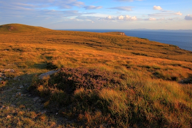 File:Blanket Bog Moorland Cnoc Mòr - geograph.org.uk - 934176.jpg