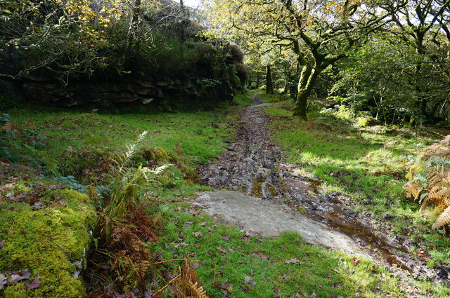 File:Bridleway, between Merrivale and Daveytown. - geograph.org.uk - 4206142.jpg