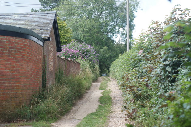 File:Bridleway Near Four Marks - geograph.org.uk - 1418101.jpg