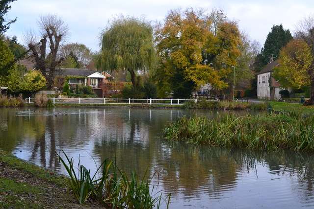 File:Buriton Pond from South Lane - geograph.org.uk - 3755623.jpg