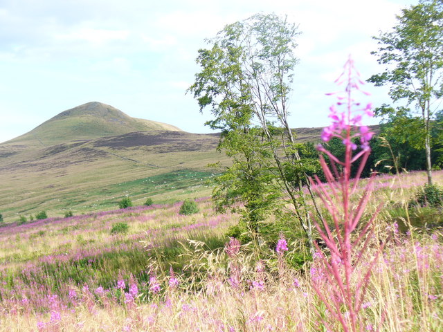 By Maspie Den - geograph.org.uk - 1450755