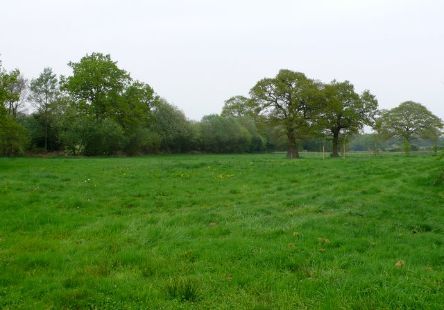 File:Countryside near Wychpitts Farm - geograph.org.uk - 2405273.jpg