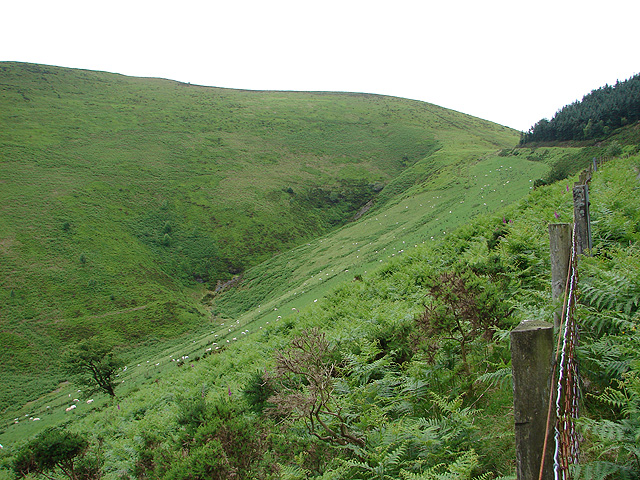 File:Cwm Nant Heli - geograph.org.uk - 471189.jpg