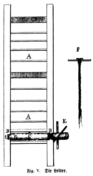 File:Die Gartenlaube (1864) b 541 2.jpg