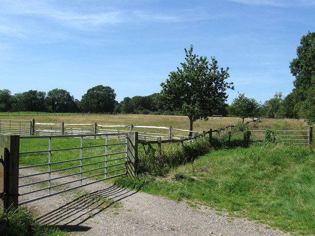 File:Farther Lower Field - geograph.org.uk - 1450721.jpg