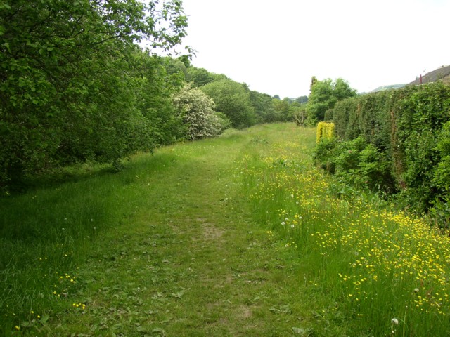 File:Footpath alongside the River Calder, Copley, Skircoat (Halifax) - geograph.org.uk - 189083.jpg