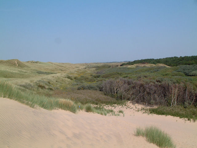 Foredunes at Formby - geograph.org.uk - 205138