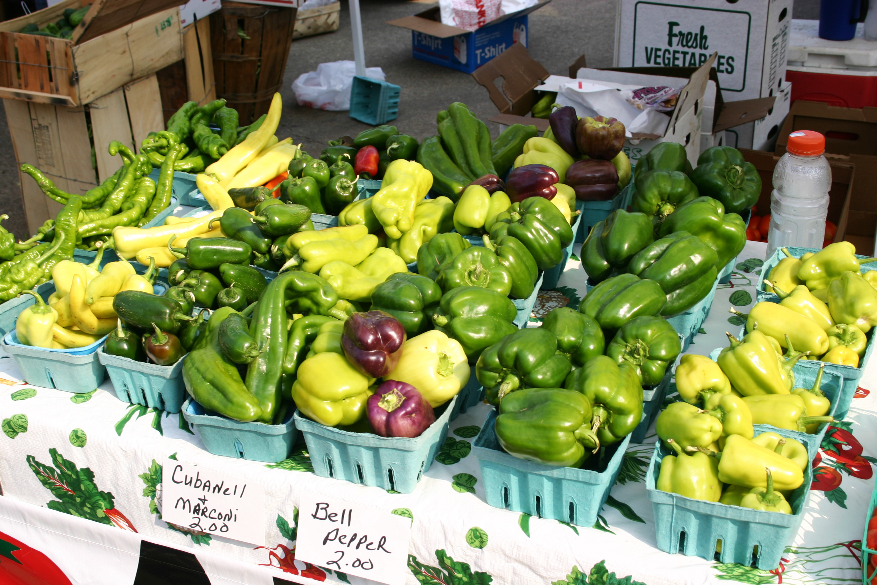 File:Green-Bell-Pepper.jpg - Wikimedia Commons