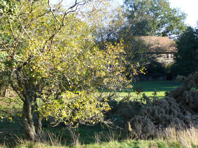 File:Hankley Cottage - geograph.org.uk - 272500.jpg