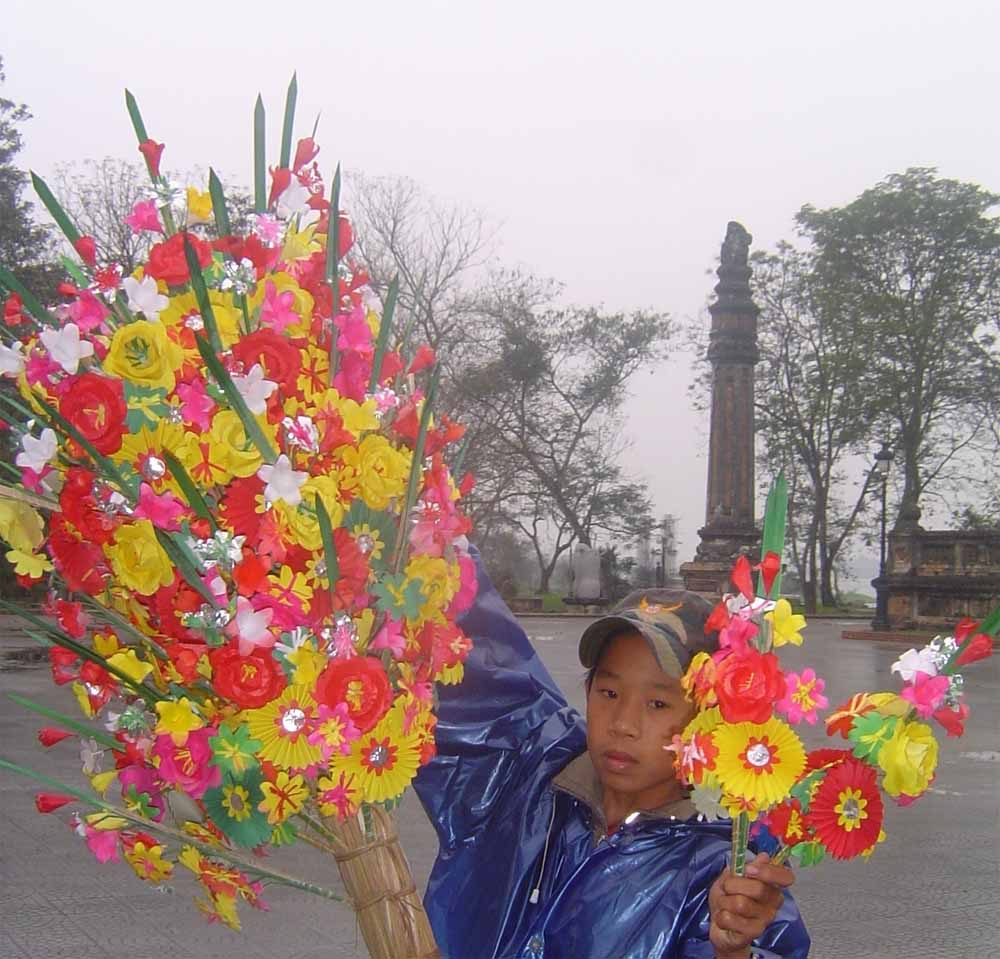 File:Hoa giay Thanh Tien.JPG - Wikimedia Commons