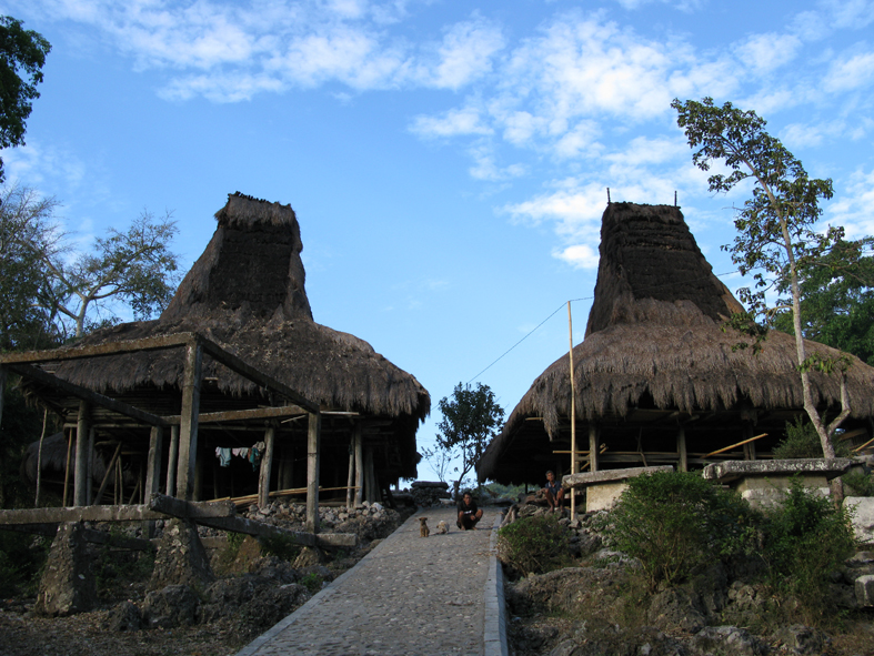 File:Houses in Tarung, Waitabar, Sumba.jpg