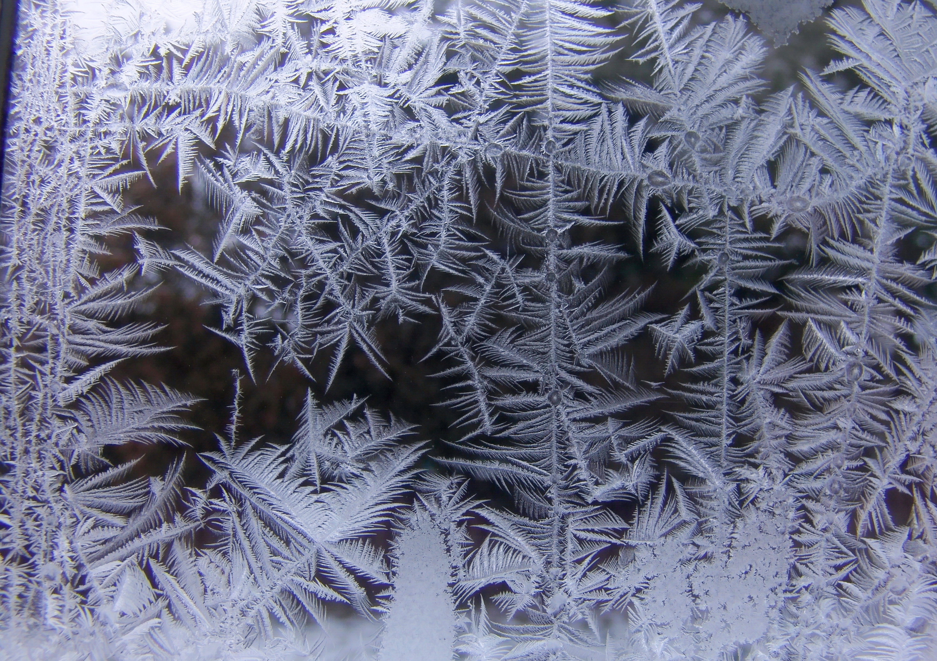 File Ice Crystals At Window07 Jpg Wikimedia Commons